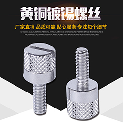 黄铜镀锡螺丝